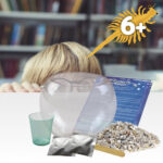 Jurassic Pets Kit II. Joc educațional furnizat cu o pungă cadou din hârtie kraft (115 g/m²), fabricat din material certificat FSC™ şi alte materiale controlate personalizat - Image 6