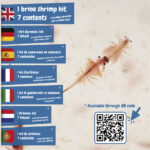 Jurassic Pets Kit II. Joc educațional furnizat cu o pungă cadou din hârtie kraft (115 g/m²), fabricat din material certificat FSC™ şi alte materiale controlate personalizat - Image 8